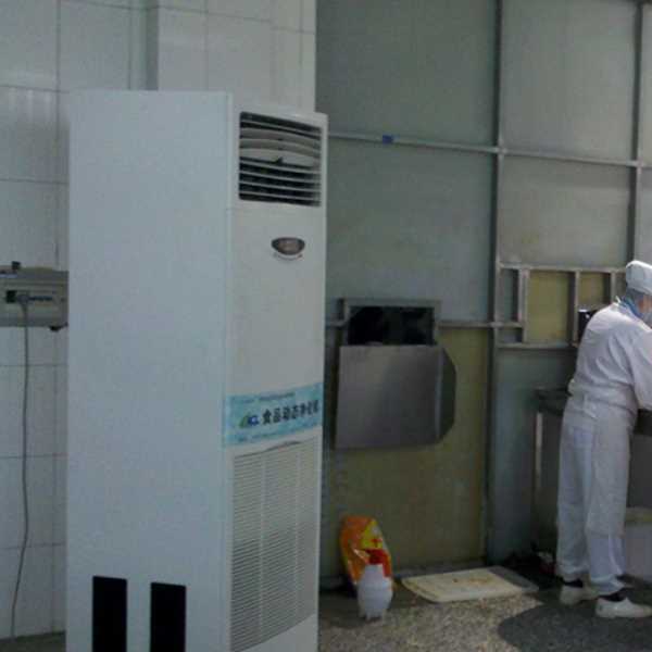 荆州食品正负离子空气杀菌器